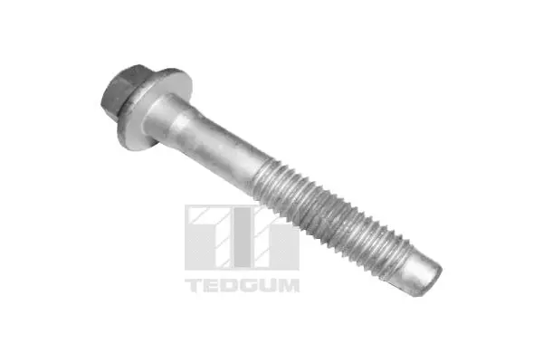 Screw (TED46565)
