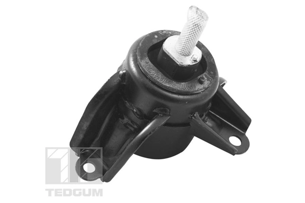 Mounting, engine (TED95921)