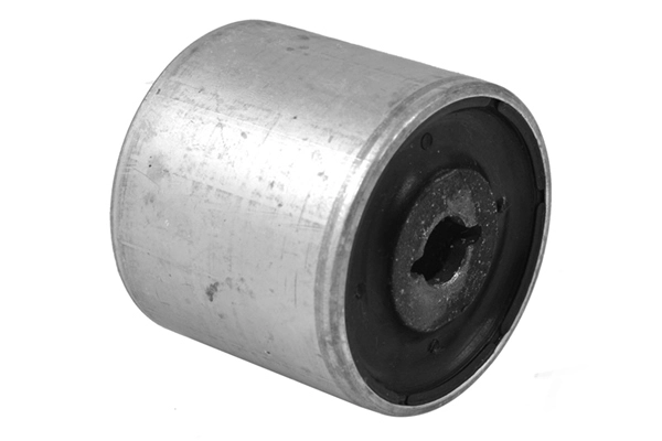Mounting, control/trailing arm (00419750)