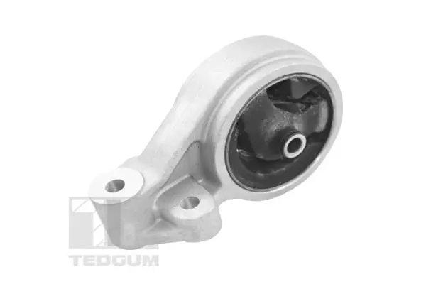 Mounting, engine (TED11899)