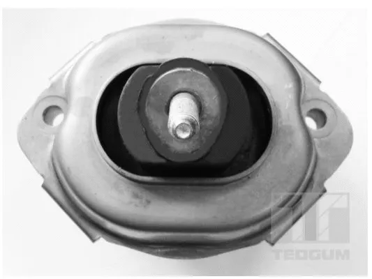 Mounting, engine