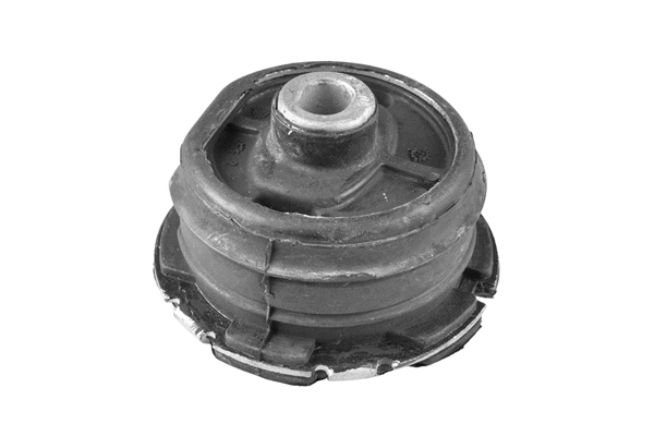 Bushing, axle beam (00415000)