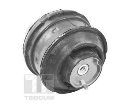 Mounting, engine (TED72237)