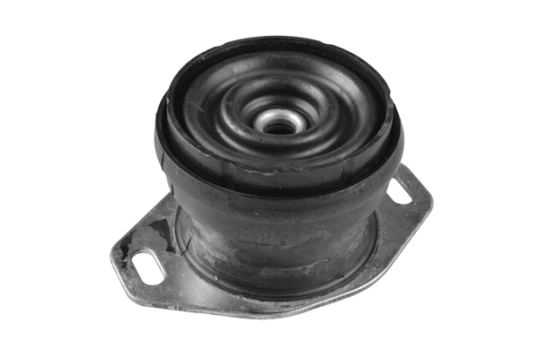 Mounting, engine (TED36590)
