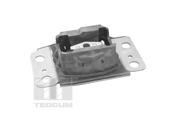 Mounting, engine (TED35055)