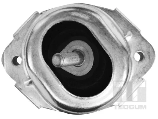 Mounting, engine