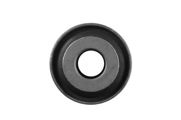 Mounting, shock absorber