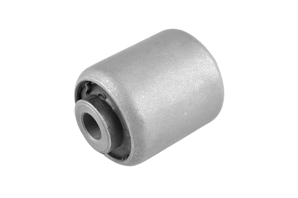 Mounting, control/trailing arm (00262893)