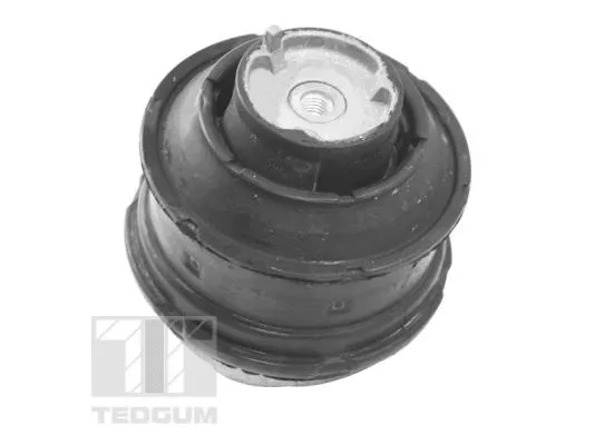 Mounting, engine