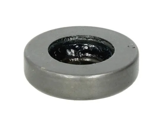 Rolling Bearing, suspension strut support mount