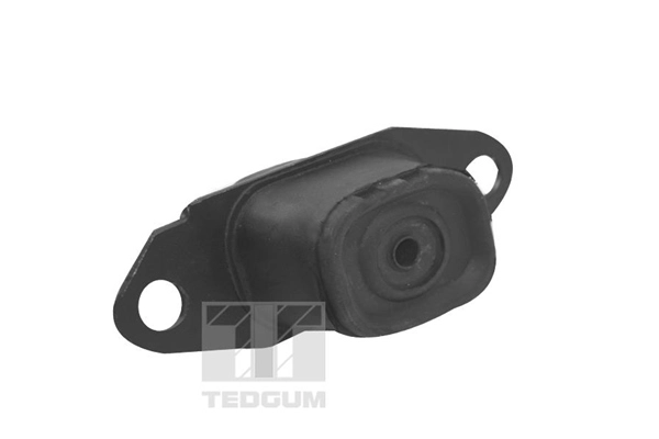 Mounting, engine (TED15980)