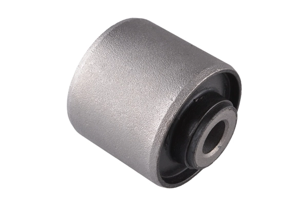 Mounting, control/trailing arm (00289746)