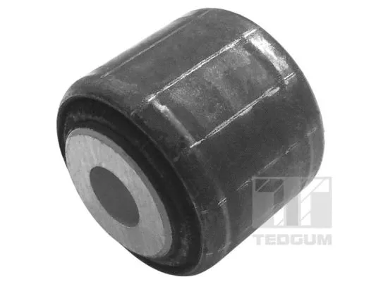 Mounting, control/trailing arm (00056910)