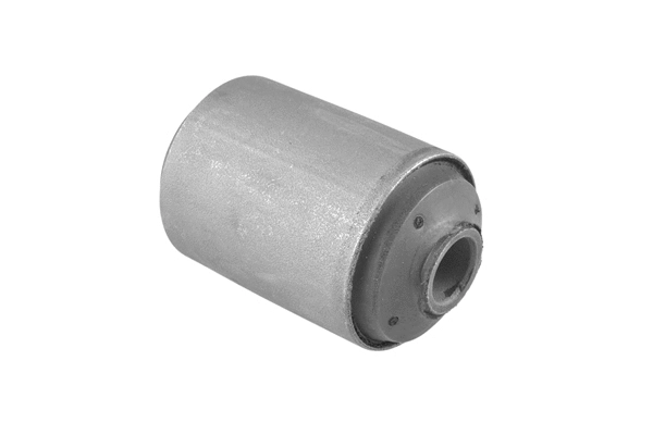 Mounting, leaf spring (00220343)