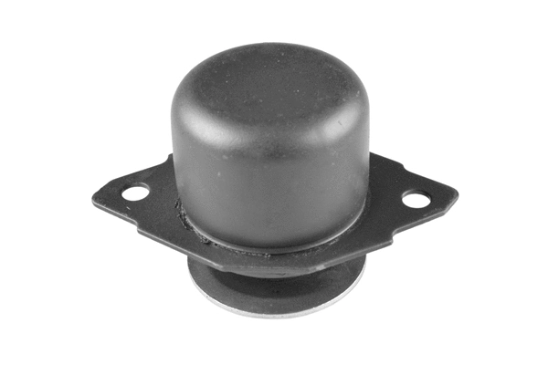 Mounting, engine (00725575)