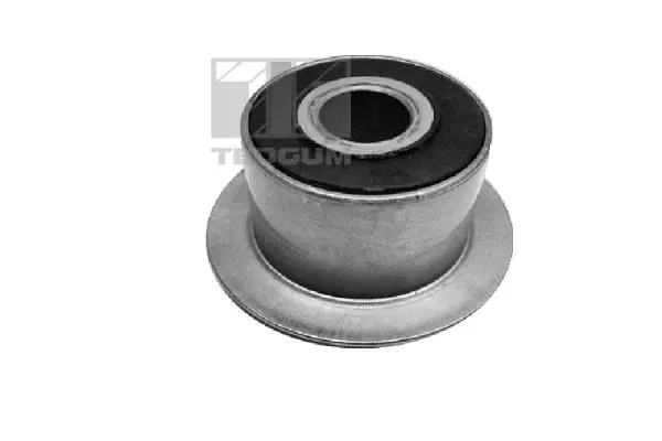 Mounting, leaf spring (01106783)