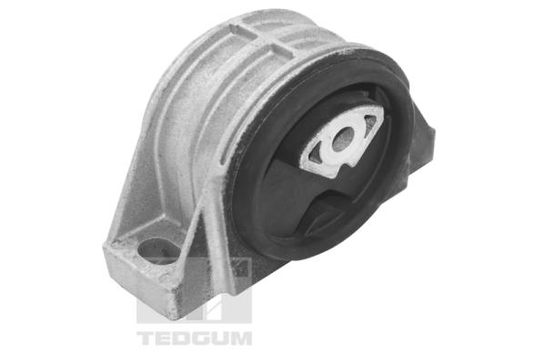 Mounting, engine (TED16678)