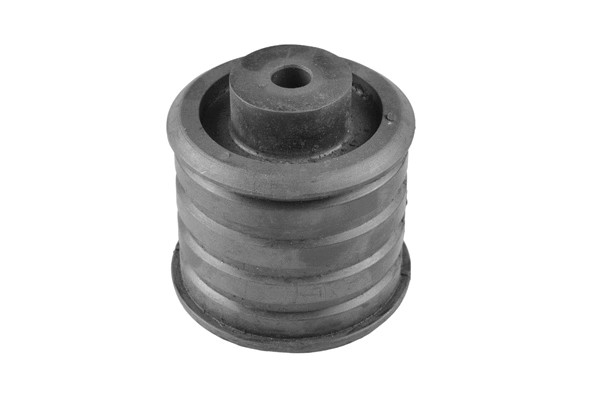 Bushing, axle beam (00145434)