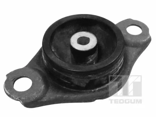 Mounting, engine (00216249)