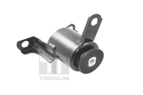 Mounting, engine (TED20173)