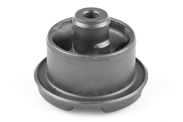 Mounting, differential (TED14377)