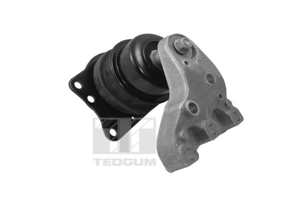 Mounting, engine (00729417)