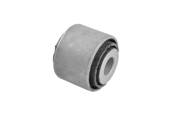 Mounting, control/trailing arm (TED52828)