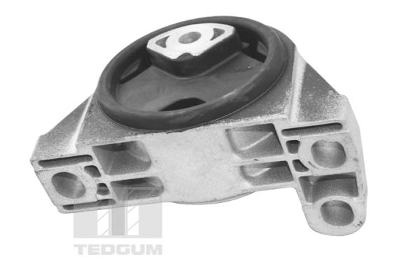 Mounting, engine