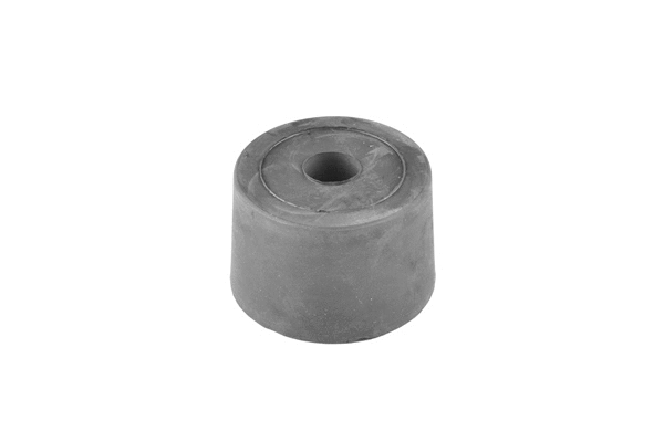 Mounting, engine (00225279)