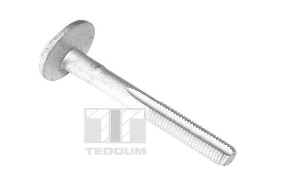 Screw (TED61701)