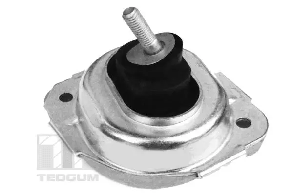 Mounting, engine (00088550)