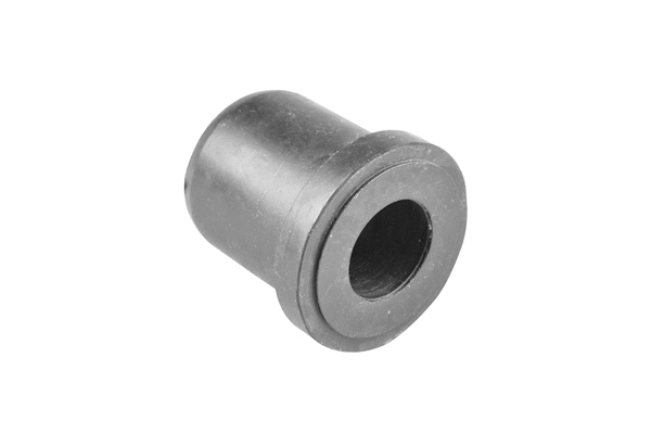 Mounting, leaf spring (00443033)