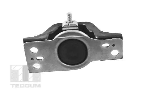 Mounting, engine