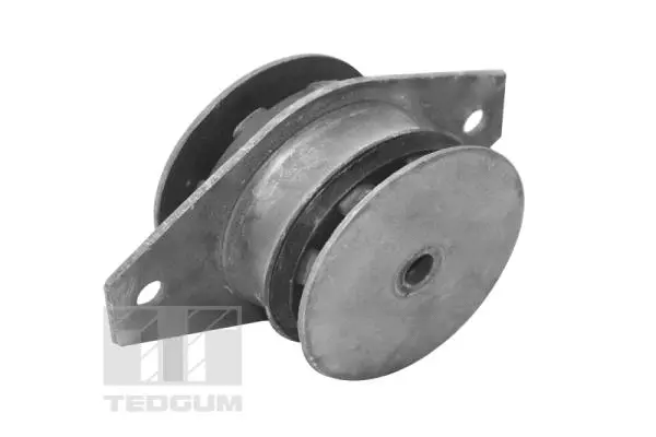 Mounting, engine (00214179)