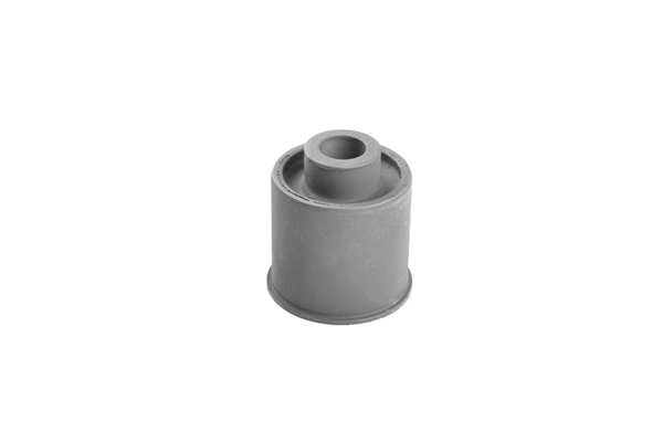 Mounting, control/trailing arm (00443443)