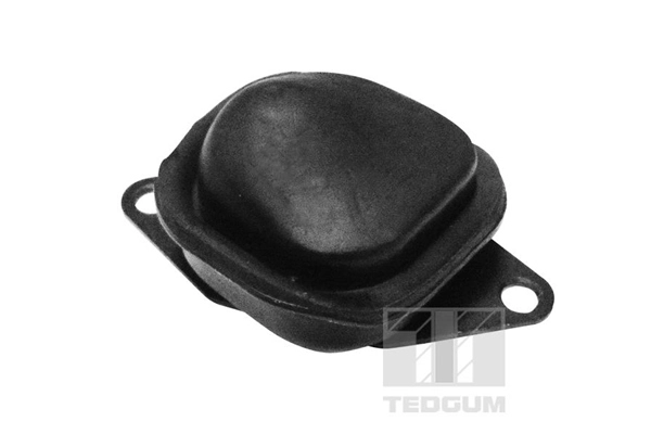 Bump Stop, axle beam (TED37673)