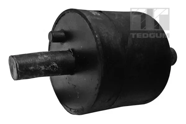 Mounting, engine (00089175)