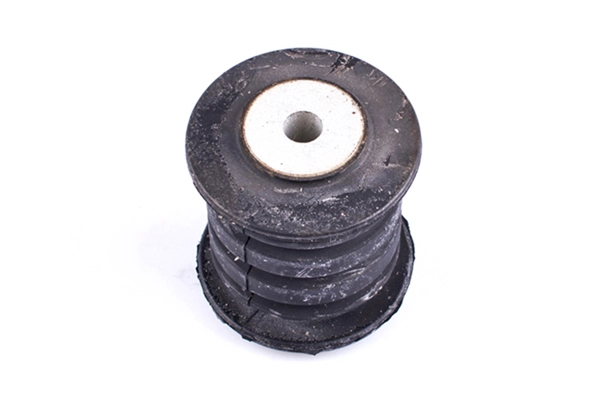 Mounting, leaf spring