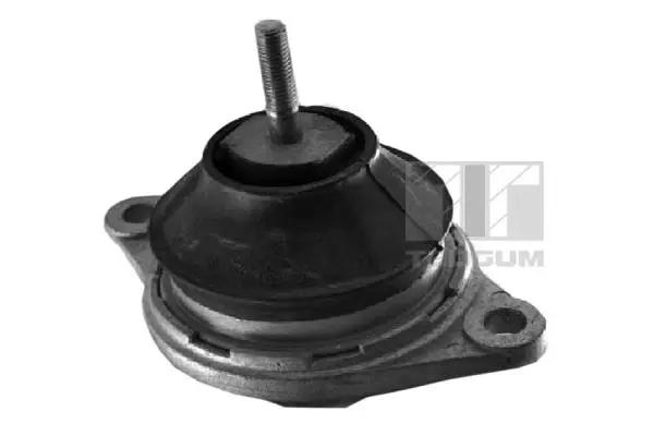Mounting, engine (00729824)