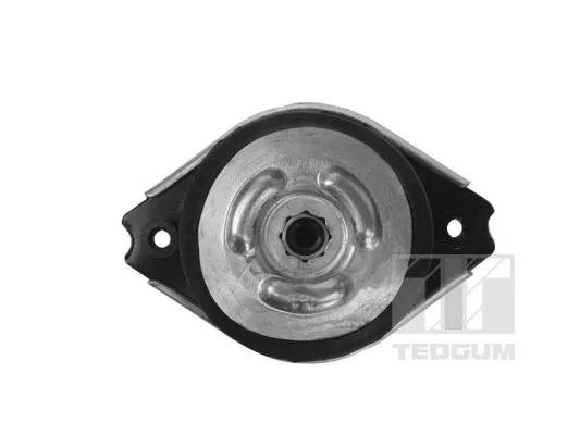 Mounting, engine