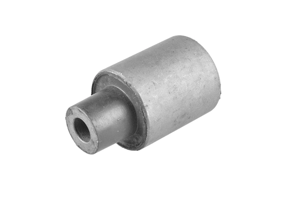 Mounting, control/trailing arm (00024793)