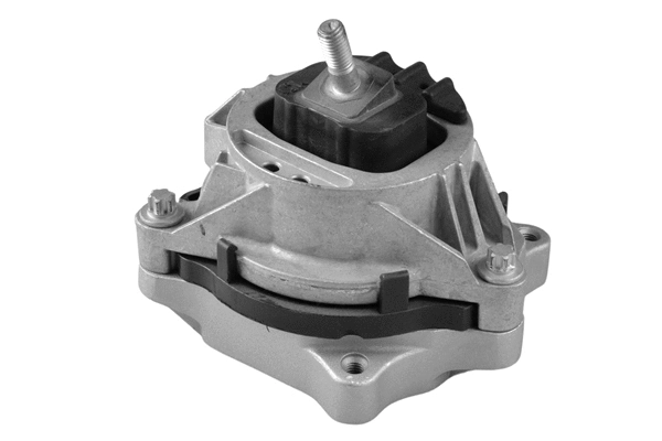 Mounting, engine (TED99821)