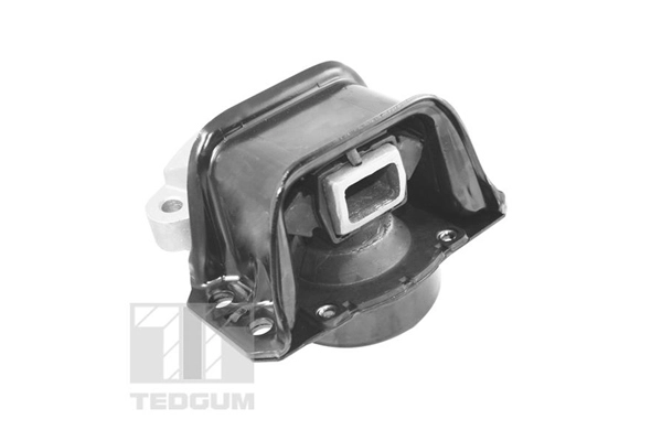 Mounting, engine (TED70595)