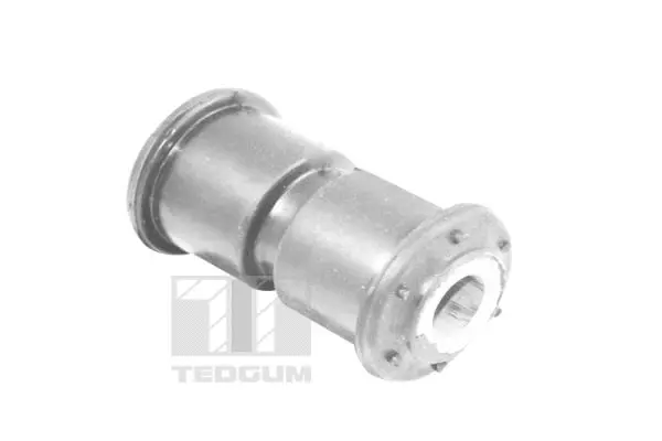 Mounting, leaf spring (00212848)