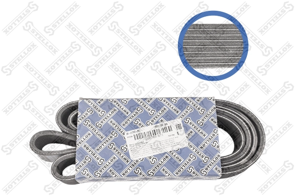 V-Ribbed Belt (08-01795-SX)