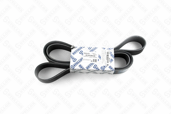 V-Ribbed Belt (09-02100-SX)