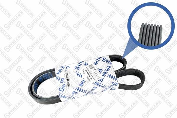 V-Ribbed Belt (07-11153-SX)