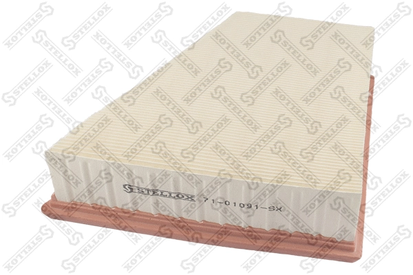 Air Filter (71-01091-SX)