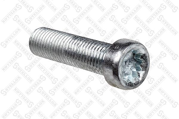 Screw (79-09008-SX)