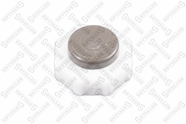 Cap, radiator (89-04703-SX)